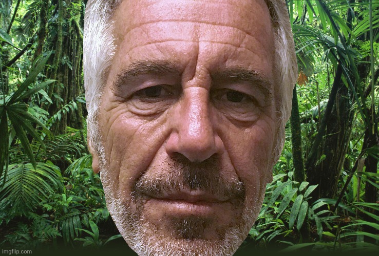 Jungle | image tagged in jungle | made w/ Imgflip meme maker