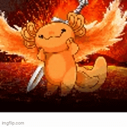 Animated GIF - Imgflip