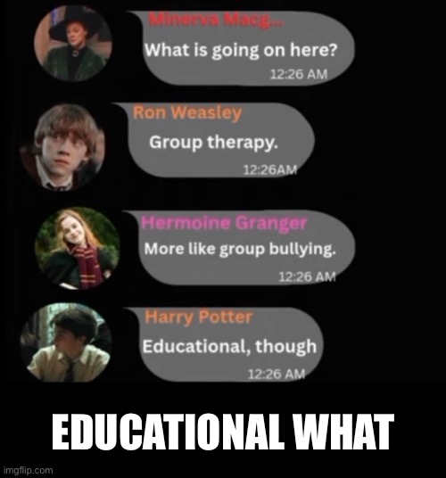 Image from yt channel wizards with wifi | EDUCATIONAL WHAT | image tagged in harry potter,memes | made w/ Imgflip meme maker