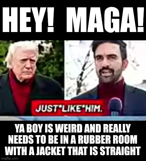 Maga Elected A Mentally Ill Abusive Man | HEY!  MAGA! YA BOY IS WEIRD AND REALLY NEEDS TO BE IN A RUBBER ROOM WITH A JACKET THAT IS STRAIGHT | image tagged in memes,maga,nazis,trump is mentally ill,incompetence,what is wrong with you | made w/ Imgflip meme maker