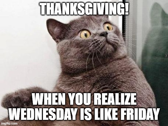 When you realize Wednesday i | THANKSGIVING! WHEN YOU REALIZE WEDNESDAY IS LIKE FRIDAY | image tagged in surprised cat,thanksgiving,wednesday,friday | made w/ Imgflip meme maker