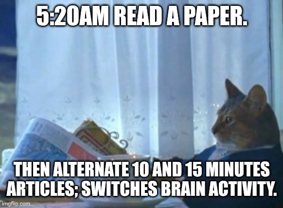 I Should Buy A Boat Cat | 5:20AM READ A PAPER. THEN ALTERNATE 10 AND 15 MINUTES ARTICLES; SWITCHES BRAIN ACTIVITY. | image tagged in memes,i should buy a boat cat | made w/ Imgflip meme maker