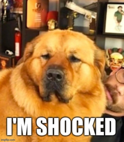 I'M SHOCKED | image tagged in hasan,kaya,reaction,shocked,dog,collargate | made w/ Imgflip meme maker