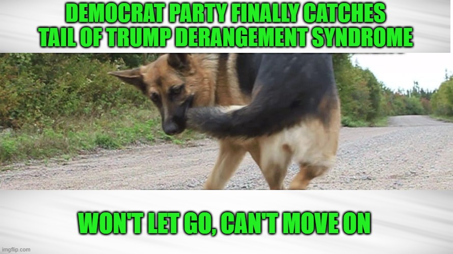 In The Grip of TDS | DEMOCRAT PARTY FINALLY CATCHES TAIL OF TRUMP DERANGEMENT SYNDROME; WON'T LET GO, CAN'T MOVE ON | image tagged in democrat party,trump derangement syndrome | made w/ Imgflip meme maker