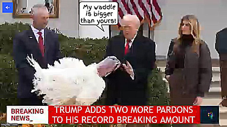 Trump loses to a talk with turkey | image tagged in trump loses to a talk with turkey,trump breaks pardon record again,bird brains,turkey talks to lame duck,trump's bigger wabble | made w/ Imgflip meme maker