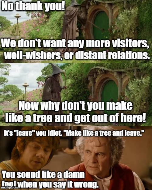No thank you | No thank you! We don't want any more visitors, well-wishers, or distant relations. Now why don't you make like a tree and get out of here! It's "leave" you idiot. "Make like a tree and leave."; You sound like a damn; fool when you say it wrong. | image tagged in gandalf,bilbo,lord of the rings,back to the future | made w/ Imgflip meme maker