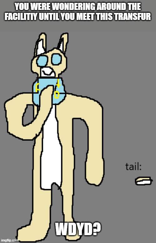 rp | YOU WERE WONDERING AROUND THE FACILITIY UNTIL YOU MEET THIS TRANSFUR; WDYD? | image tagged in rp,no romance | made w/ Imgflip meme maker