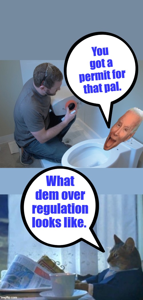Creates more DEM voters, more city state fed bureaucracy to watch you. GOV. employees vote consistently dem | You got a permit for that pal. What dem over regulation looks like. | image tagged in memes,i should buy a boat cat | made w/ Imgflip meme maker