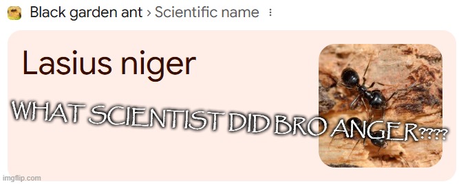 gm | WHAT SCIENTIST DID BRO ANGER???? | made w/ Imgflip meme maker