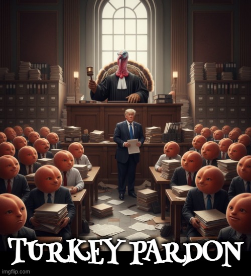 TURKEY PARDON | TURKEY PARDON | image tagged in turkey pardon,trump,criminal,jan 6,coup,impeach | made w/ Imgflip meme maker