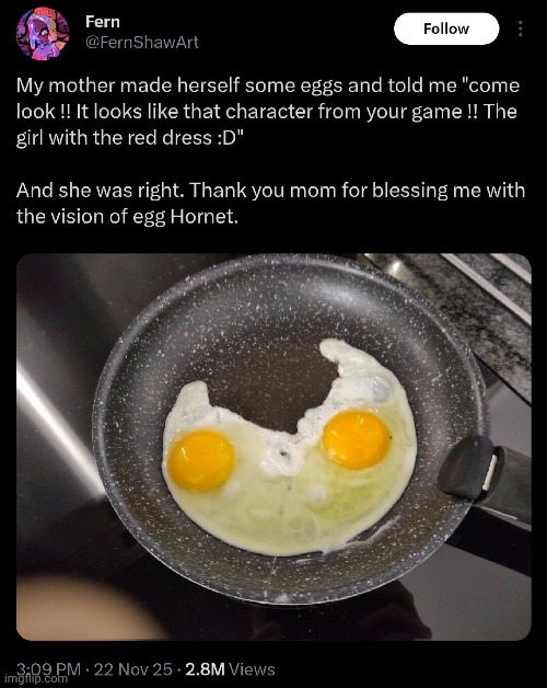 SHAW | image tagged in shaw,hollow knight | made w/ Imgflip meme maker