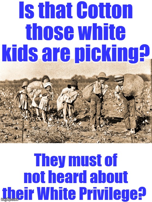 White privilege is a made-up lie, everyone pays their dues. | Is that Cotton those white kids are picking? They must of not heard about their White Privilege? | made w/ Imgflip meme maker