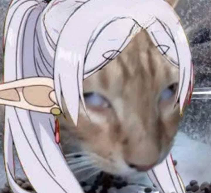 Frieren remembers | cat Blank Meme Template