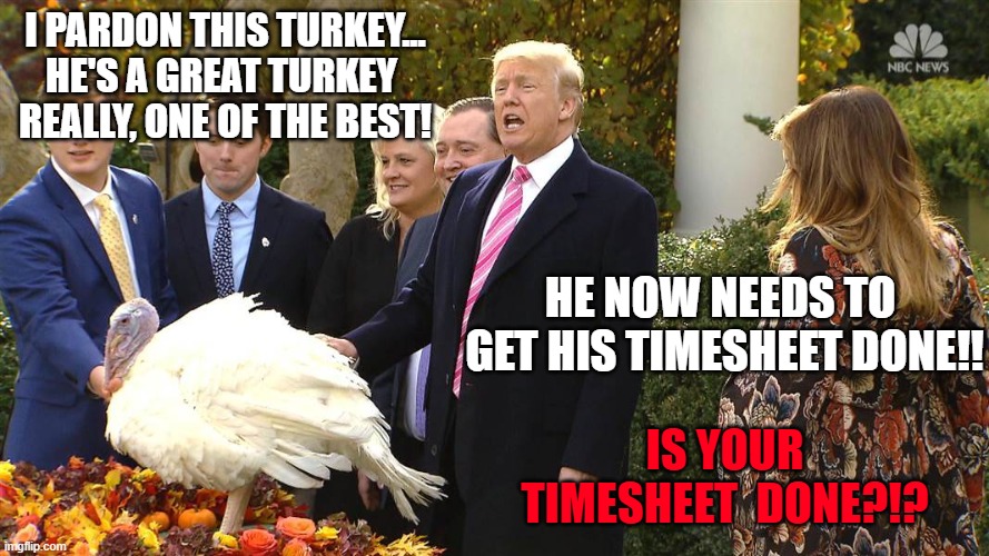 The Best Turkey Pardon, Really. Timesheet Reminder! | I PARDON THIS TURKEY...
HE'S A GREAT TURKEY 
REALLY, ONE OF THE BEST! HE NOW NEEDS TO 
GET HIS TIMESHEET DONE!! IS YOUR
TIMESHEET  DONE?!? | image tagged in trump pardons turkey,timesheet reminder,timesheet meme,donald trump,thanksgiving | made w/ Imgflip meme maker
