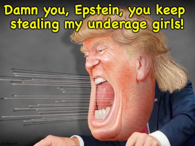 Damn you, Epstein, you keep 
stealing my underage girls! | image tagged in trump shouting crazy in a high wind he made himself | made w/ Imgflip meme maker