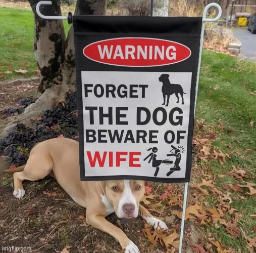 fire | image tagged in dog,wife | made w/ Imgflip meme maker