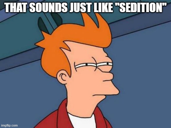 Futurama Fry Meme | THAT SOUNDS JUST LIKE "SEDITION" | image tagged in memes,futurama fry | made w/ Imgflip meme maker