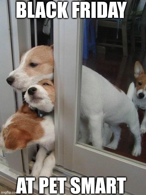 Black Friday At Pet Smart | BLACK FRIDAY; AT PET SMART | image tagged in chrisjoines1 | made w/ Imgflip meme maker