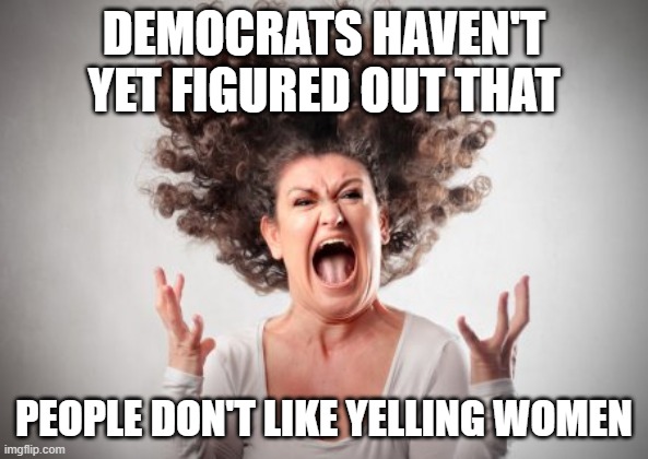 Screaming woman | DEMOCRATS HAVEN'T YET FIGURED OUT THAT PEOPLE DON'T LIKE YELLING WOMEN | image tagged in screaming woman | made w/ Imgflip meme maker