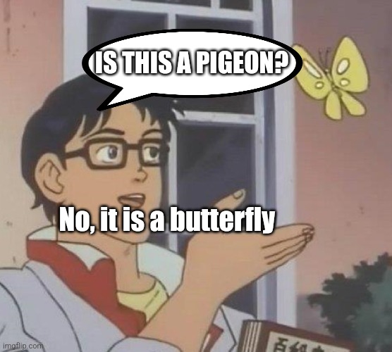 Is This A Pigeon Meme | IS THIS A PIGEON? No, it is a butterfly | image tagged in memes,is this a pigeon | made w/ Imgflip meme maker
