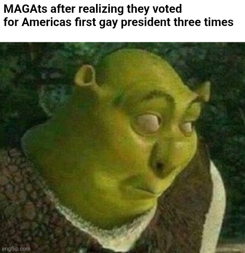 Birds of a feather | MAGAts after realizing they voted for Americas first gay president three times | image tagged in oops shrek,scumbag republicans,terrorists,trailer trash,conservative hypocrisy,lgbtq | made w/ Imgflip meme maker