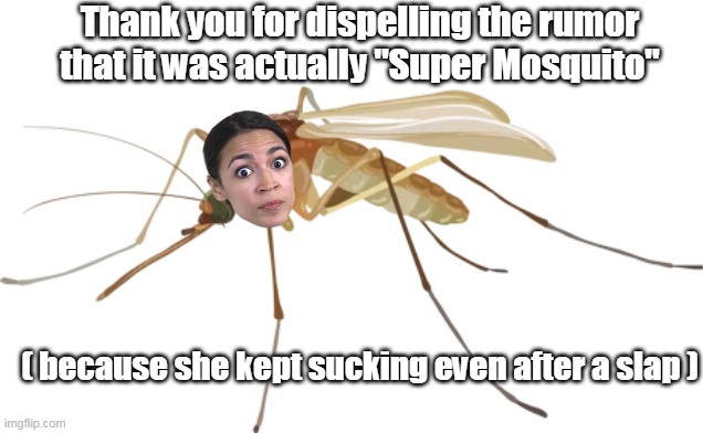 ( because she kept sucking even after a slap ) Thank you for dispelling the rumor that it was actually "Super Mosquito" | made w/ Imgflip meme maker