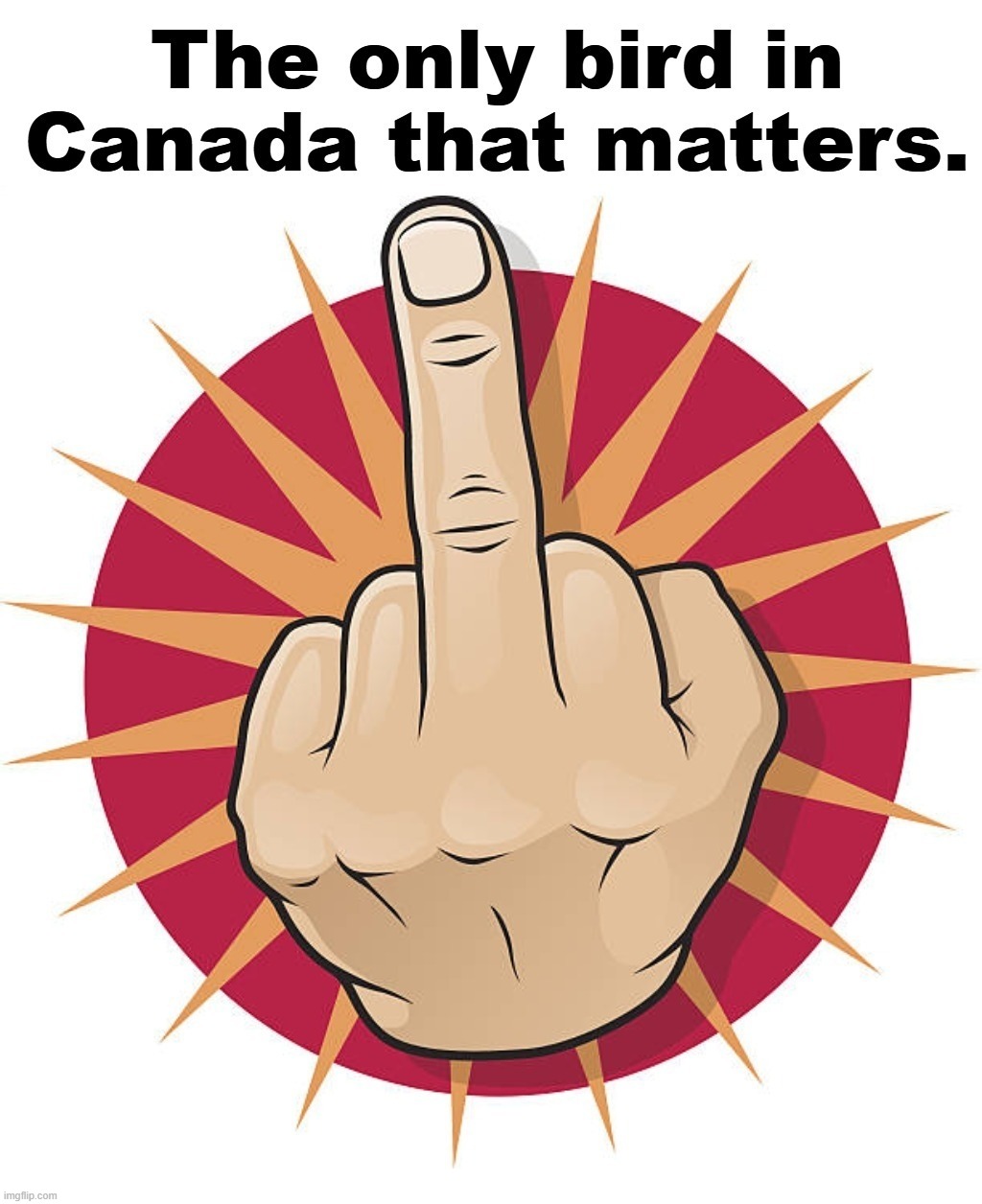 FUCK Mark Carney. | image tagged in big bird,canada,secession,we are number one,fuck you,mark carney | made w/ Imgflip meme maker