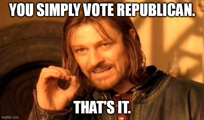 That's how you save 'Merica! | YOU SIMPLY VOTE REPUBLICAN. THAT'S IT. | image tagged in memes,one does not simply,america,usa,vote,republican | made w/ Imgflip meme maker