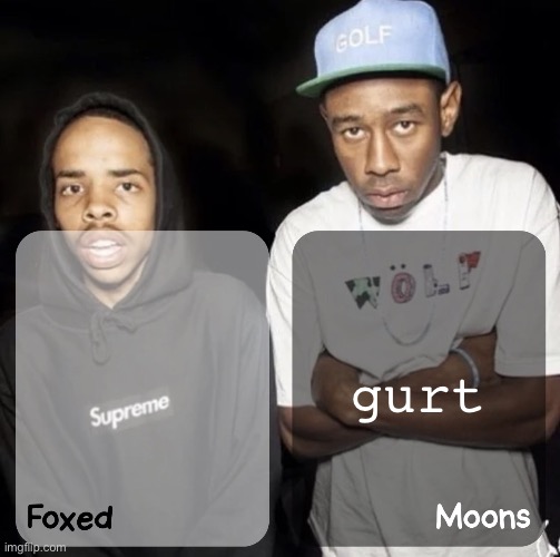 Foxed and Moons - Earl & Tyler Temp | gurt | image tagged in foxed and moons - earl tyler temp | made w/ Imgflip meme maker