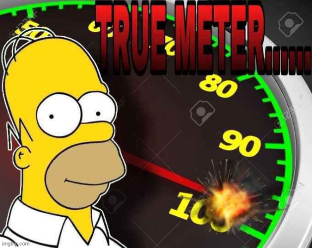 true meter | image tagged in true meter | made w/ Imgflip meme maker
