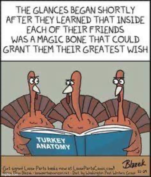 “Don’t look at me like that!” | image tagged in repost,comics,turkey,magic bone,grants wishes | made w/ Imgflip meme maker