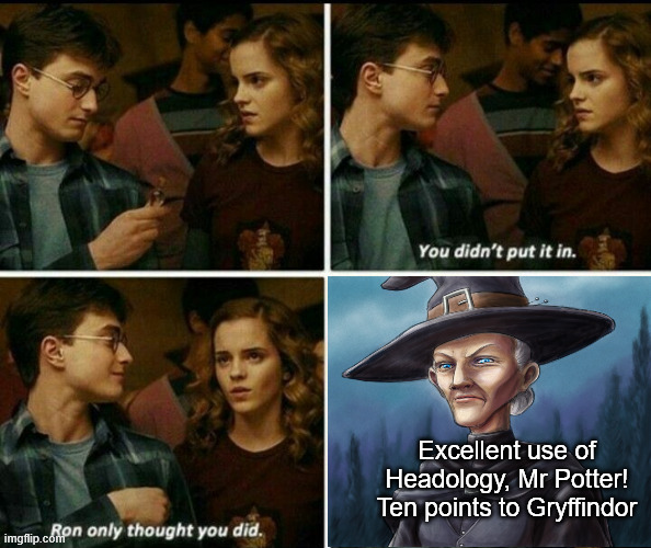 Headology | Excellent use of Headology, Mr Potter! Ten points to Gryffindor | image tagged in headology,discworld,harry potter,granny weatherwax,hermione granger,ron weasley | made w/ Imgflip meme maker