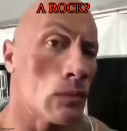 The Rock Eyebrows | A ROCK? | image tagged in the rock eyebrows | made w/ Imgflip meme maker