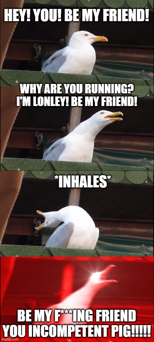 Inhaling Seagull Meme | HEY! YOU! BE MY FRIEND! WHY ARE YOU RUNNING? I'M LONLEY! BE MY FRIEND! *INHALES*; BE MY F***ING FRIEND YOU INCOMPETENT PIG!!!!! | image tagged in memes,inhaling seagull | made w/ Imgflip meme maker
