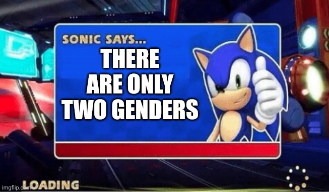 There are only two genders | THERE ARE ONLY TWO GENDERS | image tagged in sonic says | made w/ Imgflip meme maker