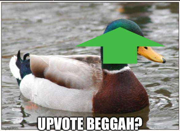 When the upvote beggar: | UPVOTE BEGGAH? | image tagged in memes,actual advice mallard,upvote,upvote beggars,not upvote begging | made w/ Imgflip meme maker