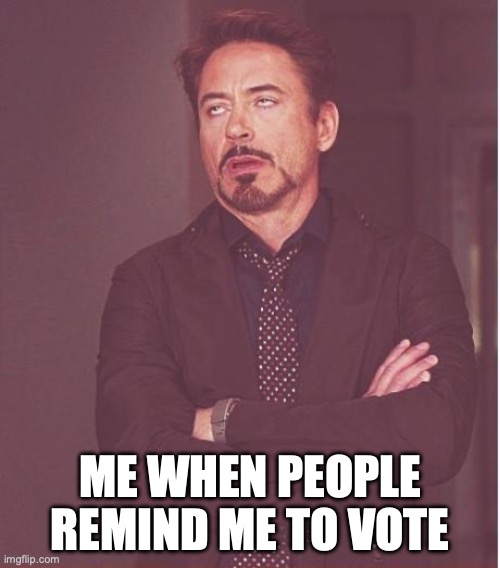 downey libertarian | ME WHEN PEOPLE REMIND ME TO VOTE | image tagged in memes,face you make robert downey jr | made w/ Imgflip meme maker
