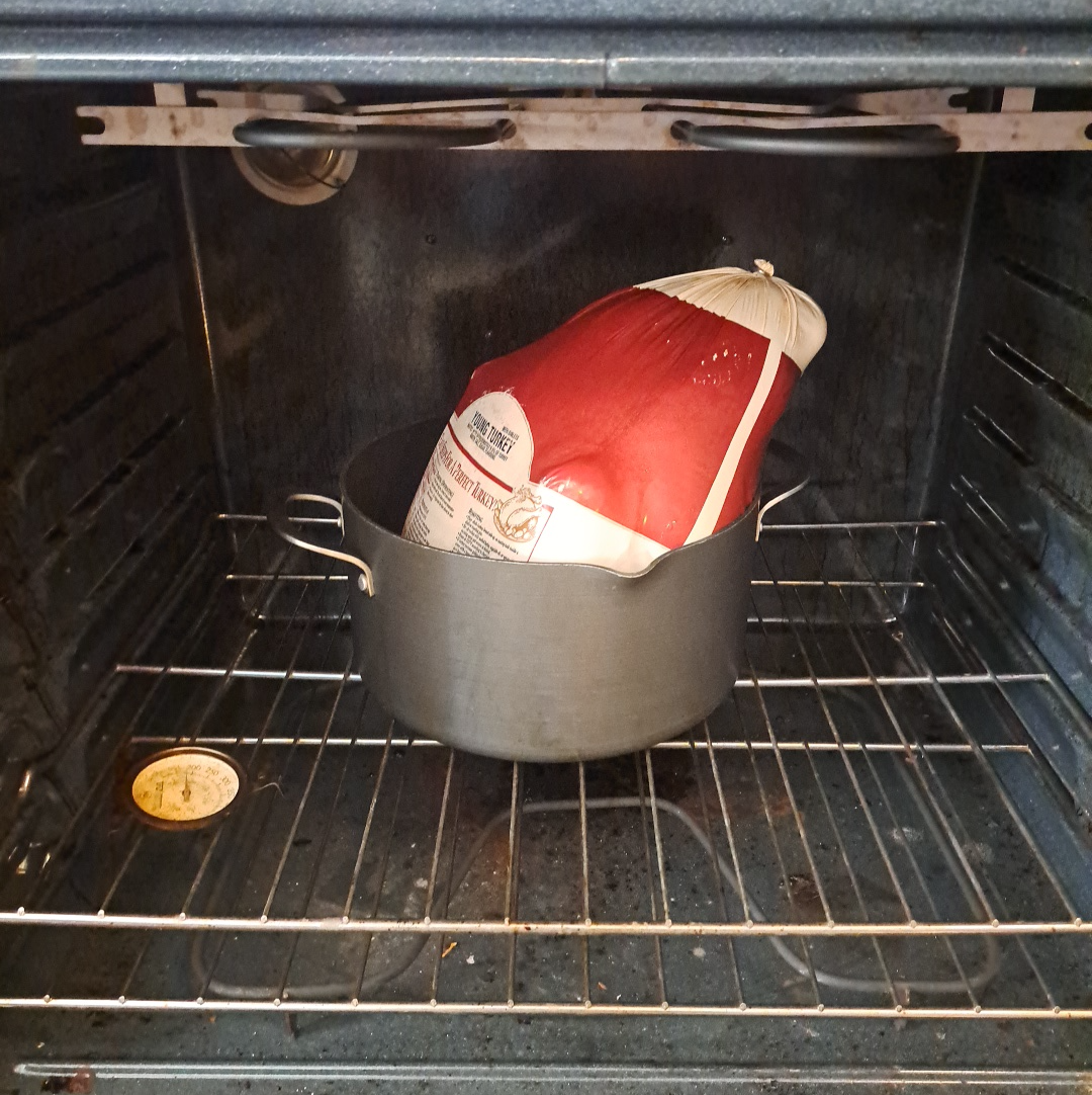 Thanksgiving Turkey is Rasy Blank Meme Template