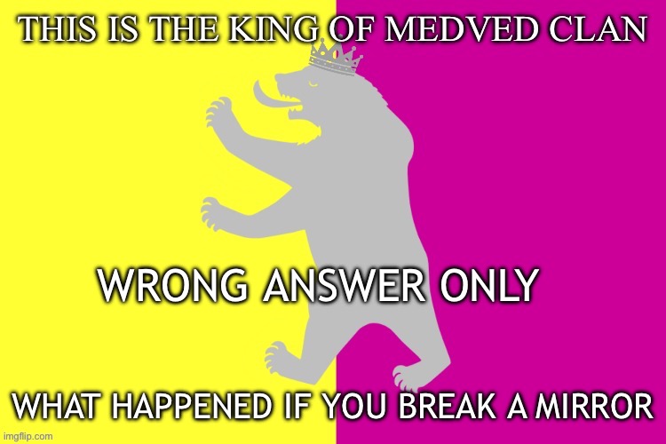 Outdated | WRONG ANSWER ONLY; WHAT HAPPENED IF YOU BREAK A MIRROR | image tagged in the king white bear | made w/ Imgflip meme maker