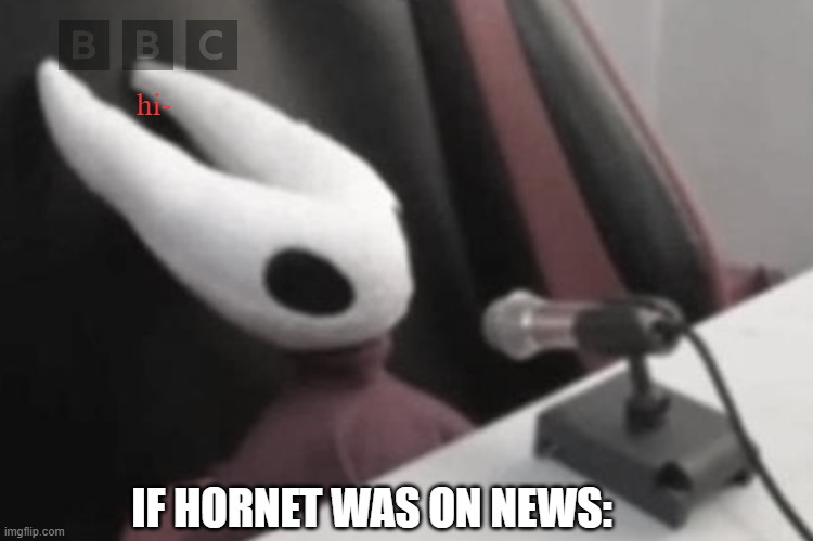 shes finna fight bro the next day- | hi-; IF HORNET WAS ON NEWS: | image tagged in hornet announcement | made w/ Imgflip meme maker