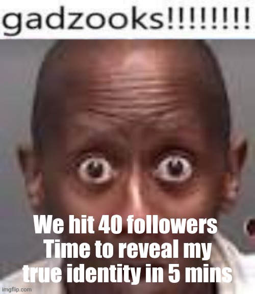 Gadzooks | We hit 40 followers 
Time to reveal my true identity in 5 mins | image tagged in gadzooks | made w/ Imgflip meme maker