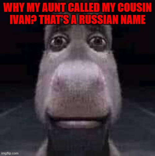 i'm confused but... ok | WHY MY AUNT CALLED MY COUSIN IVAN? THAT'S A RUSSIAN NAME | image tagged in donkey staring | made w/ Imgflip meme maker