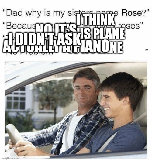 Why is my sister's name Rose | I THINK THIS PLANE IS A PLANE; NO IT'S ACTUALLY A PIANO; I DIDN'T ASK | image tagged in why is my sister's name rose | made w/ Imgflip meme maker