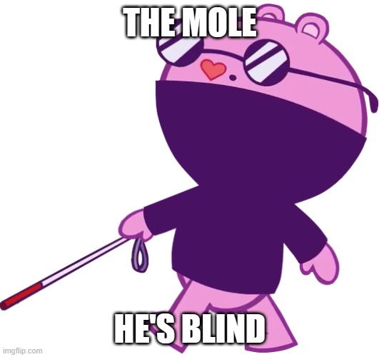 THE MOLE HE'S BLIND | made w/ Imgflip meme maker