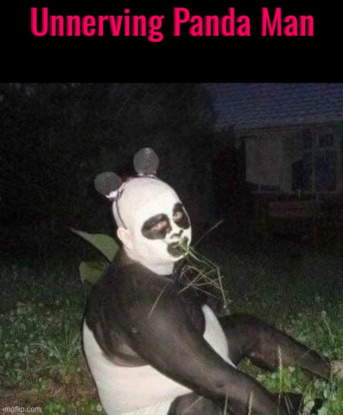 Unnerving Panda Man | Unnerving Panda Man | image tagged in panda,creepy guy,cursed images,oh hell no,excuse me what the frick,nope | made w/ Imgflip meme maker