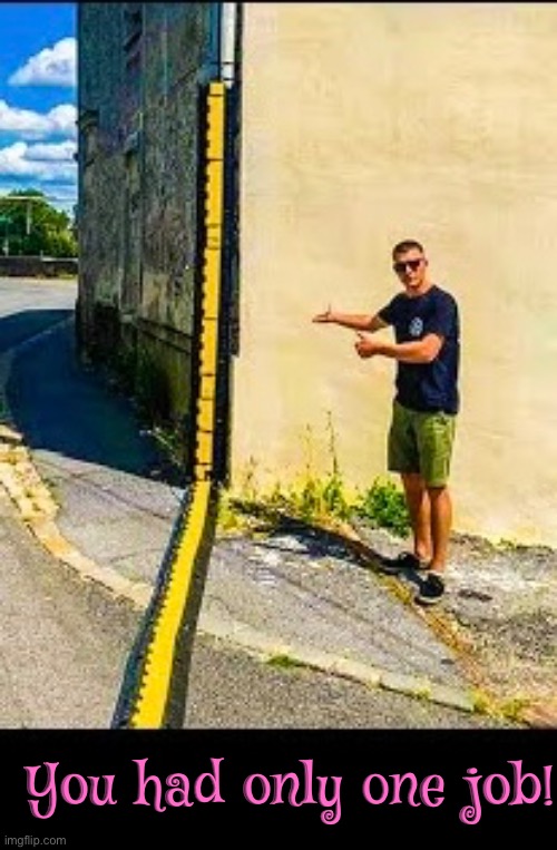 Only One Job | You had only one job! | image tagged in you had one job,you had one job just the one,task failed successfully,epic fail,excuse me wtf,you're fired | made w/ Imgflip meme maker