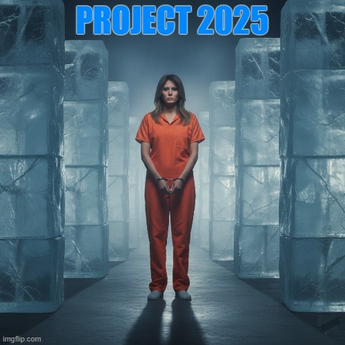 PROJECT 2025 | PROJECT 2025 | image tagged in project 2025,illegal immigration,trump,maga,anchor baby,chain migration | made w/ Imgflip meme maker