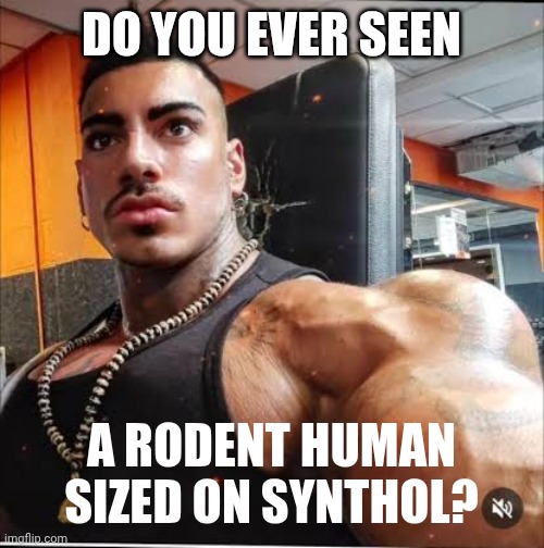 Eros Luxor before | DO YOU EVER SEEN; A RODENT HUMAN SIZED ON SYNTHOL? | image tagged in eros luxor before | made w/ Imgflip meme maker