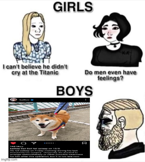 RIP to the most Le Epic Doge ? | image tagged in do men even have feelings,legend,doge,sad | made w/ Imgflip meme maker