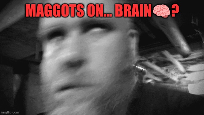 Trembling | MAGGOTS ON... BRAIN?? | image tagged in trembling | made w/ Imgflip meme maker